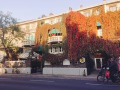 -成桂西餐厅·42年的味道(五大道疙瘩楼店)