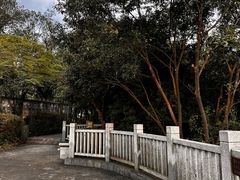 -大屏嶂森林公园