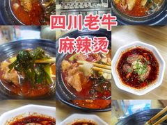 -四川老牛麻辣烫(北门桥店)