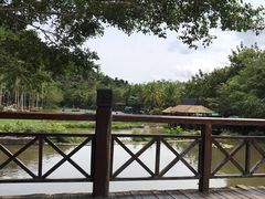 -呀诺达热带雨林