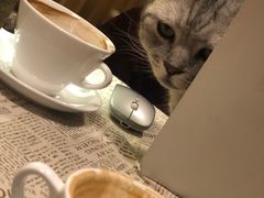 -隅cafe(傅厚岗店)