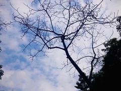 -云溪植物园