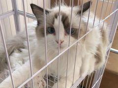 -iF摄影•全家福•证件照•形象照(南山店)