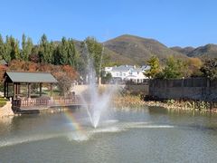 -静之湖湖畔餐厅