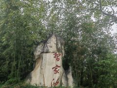 -习家池