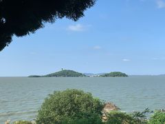 -上海市保健医疗中心