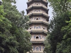 -灵谷景区