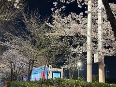 -华中科技大学光谷体育馆