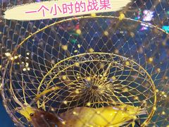 -钳真多钓虾馆·小龙虾海鲜烧烤(九六广场店)