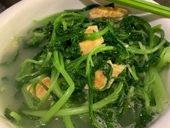 汤浸野菜-园林美食城·本土农家菜(杨和镇店)