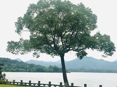 -杭州西湖柳莺里酒店·闻莺厅