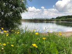 -塞罕坝国家级自然保护区