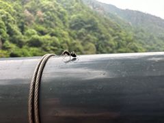 -天台山琼台仙谷景区