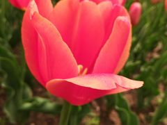 -长春公园(普阳街道)