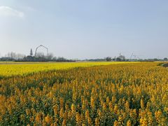 -中国天府农业博览园