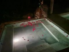 -腾冲和顺柏联酒店