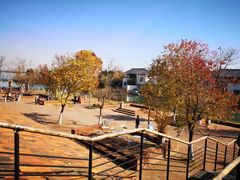 -祝甸砖窑文化馆