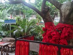 -寿山福海养老服务中心(石景山院)