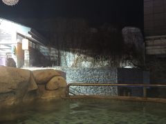 -北京乐多港万豪酒店汤乐宫温泉