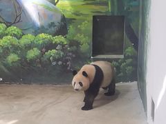 -杭州少年儿童公园