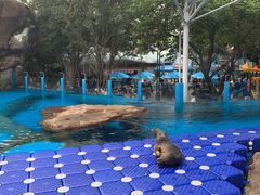 -海合安成都极地海洋公园