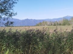 -野鸭湖国家湿地公园