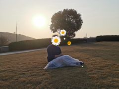 -上海佘山世茂艾美酒店