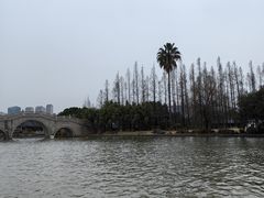 -江心屿景区