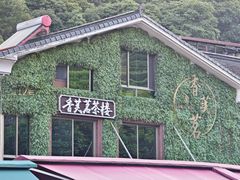 -香芙茗茶楼(梅家坞总店)