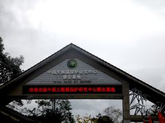 -碧峰峡风景区