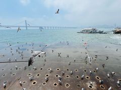 -星海广场