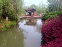 -绍兴镜湖国家城市湿地公园