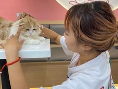 -喵园·猫主题咖啡厅·撸猫·猫咖(国贸店)