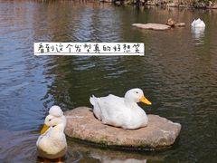 -新江湾城公园