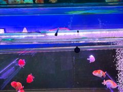 -香炉礁家具市场