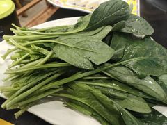 -芦月轩羊蝎子(北蜂窝店)