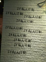 -Z.F私人订制
