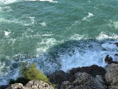 -广东惠东海龟国家级自然保护区