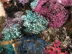 -三圣花乡旅游区