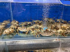 水产区-圣罗巴海鲜自助(黑金店)