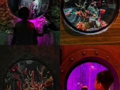 -沈阳海洋探索中心