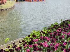 -上海鲜花港