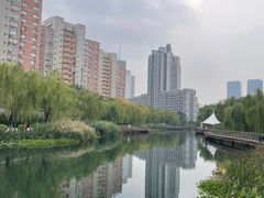 -金链花·泰国餐厅(国贸店)