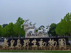 -秦皇岛野生动物园