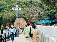 -野狸岛