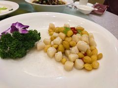 -苏启渔港(云南北路店)