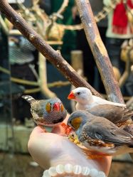 -Zoolung Zoolung动物主题公园(海信广场店)