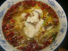 沸腾麻辣鱼-川悦阁小酒馆(都市路店)