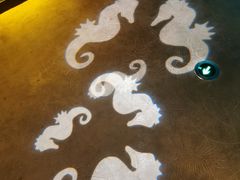 -沈阳海洋探索中心