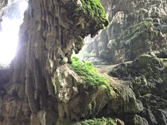 -英西峰林·洞天仙境